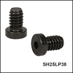 Low-Profile Channel Screws