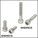 M6 x 1.0 Stainless Steel Cap Screws
