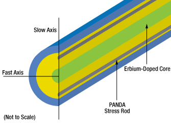 Erbium PM Fiber Cross Section Core Pumped