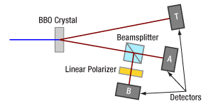 Malus Law