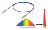 Dispersion-Compensating PM Patch Cables