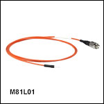 Ø200 µm Core, 0.39 NA FC/PC to Ferrule Patch Cables with Ø2.5 mm Ferrules, PVC Jacket