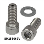 Vented, Vacuum-Compatible 1/4in-20 Cap Screws