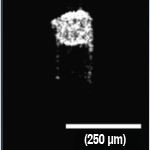 Figure 1b