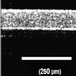 Figure 1d