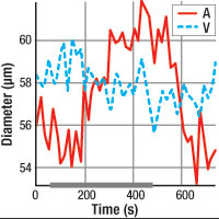 Figure 1b