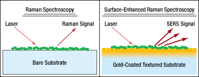 SERS Schematic Diagram