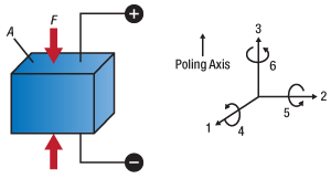 Filter Holder in Stabilized Lamp