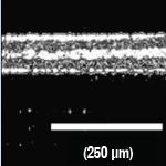 Figure 1c