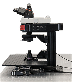 Cerna Microscope CM3003 Side View