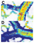 Figure 1c and 1d