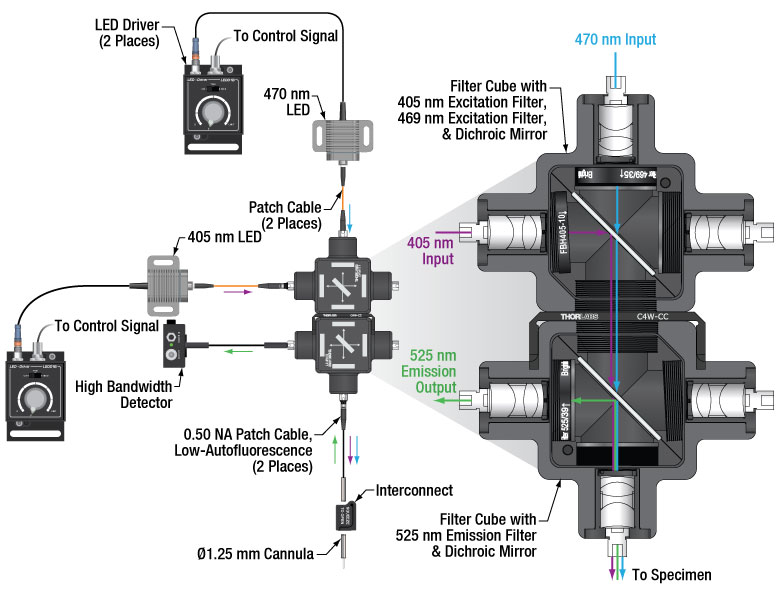 Fiber Photometry System Schematic