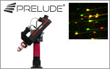 Prelude® Functional Imaging Microscope