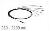 Optogenetics Patch Cables, 1-to-7 Fan-Out Bundles